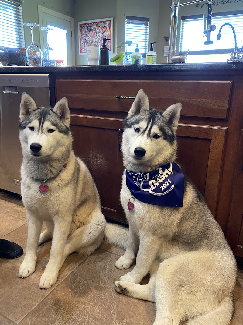 Animal Law Offices, PLLC