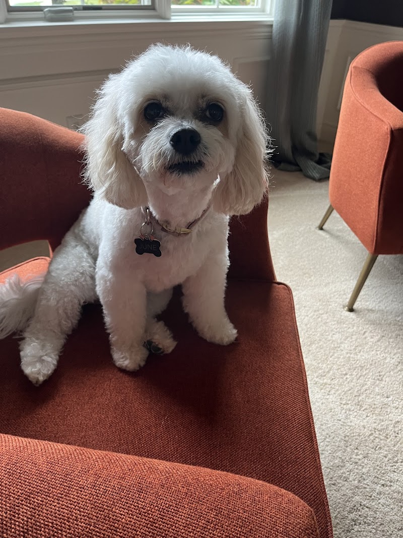 Law's Country Kennel