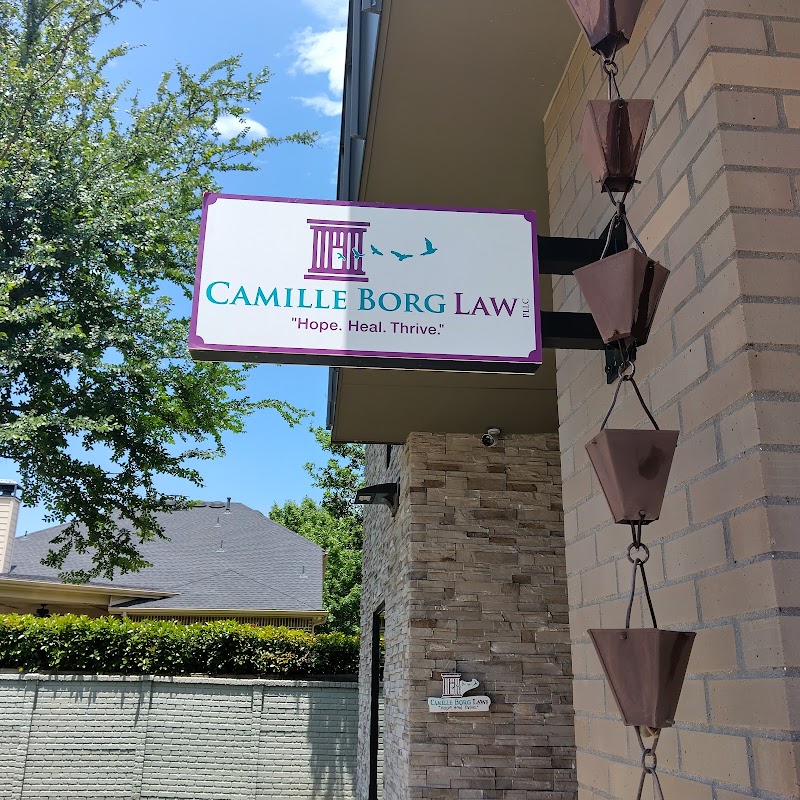 Camille Borg Law PLLC