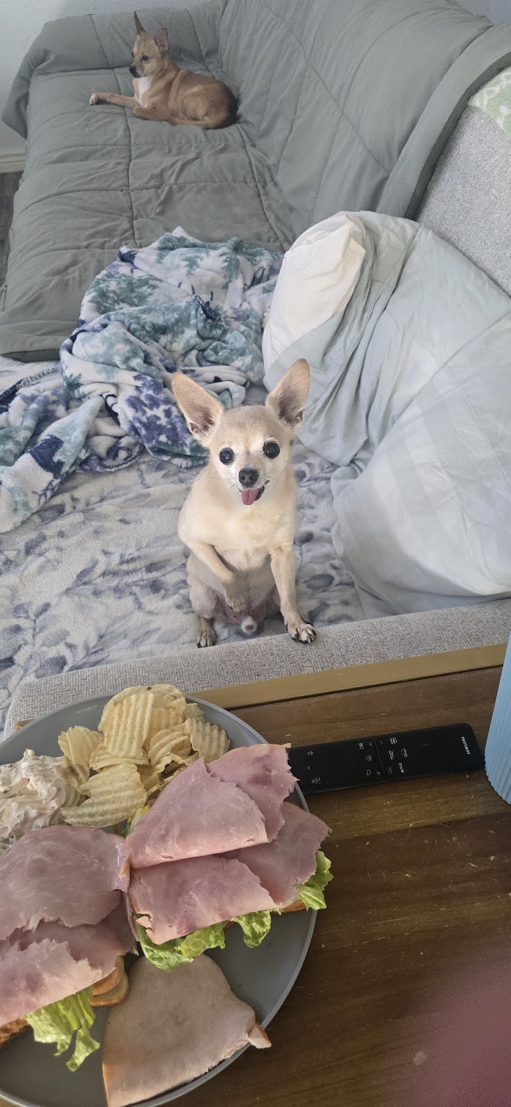 TopDog Law Personal Injury Lawyers