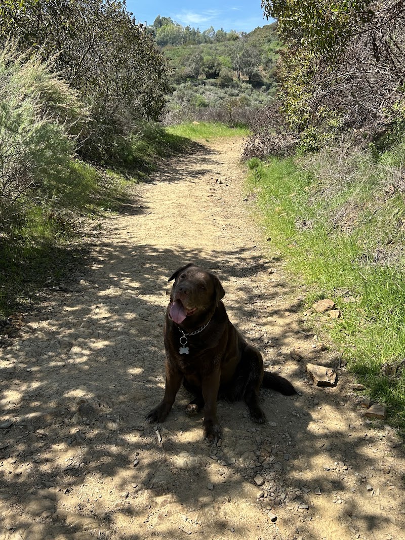 California Legal Counsel, APLC