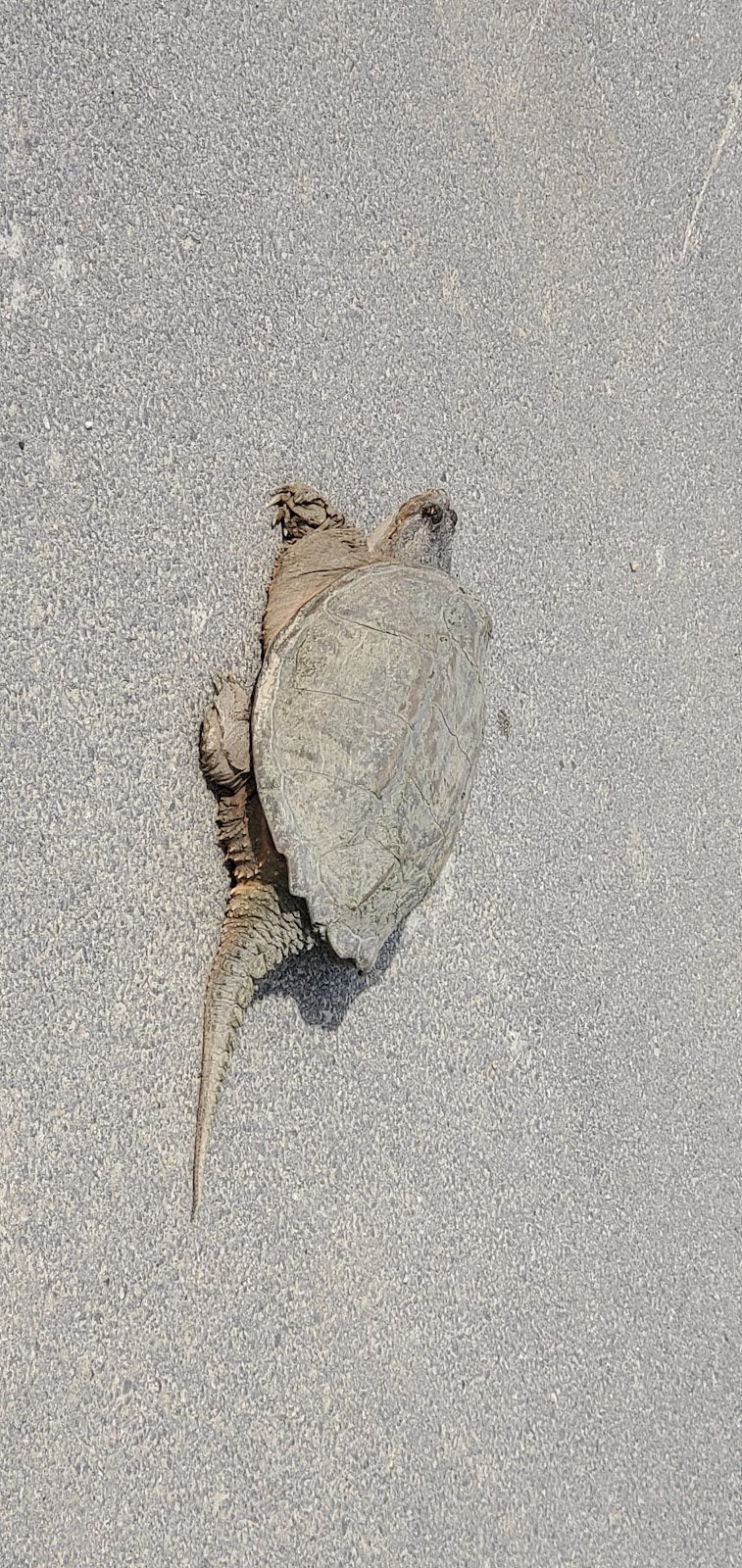 Hamilton County Sheriffs Office Humane Law Enforcement