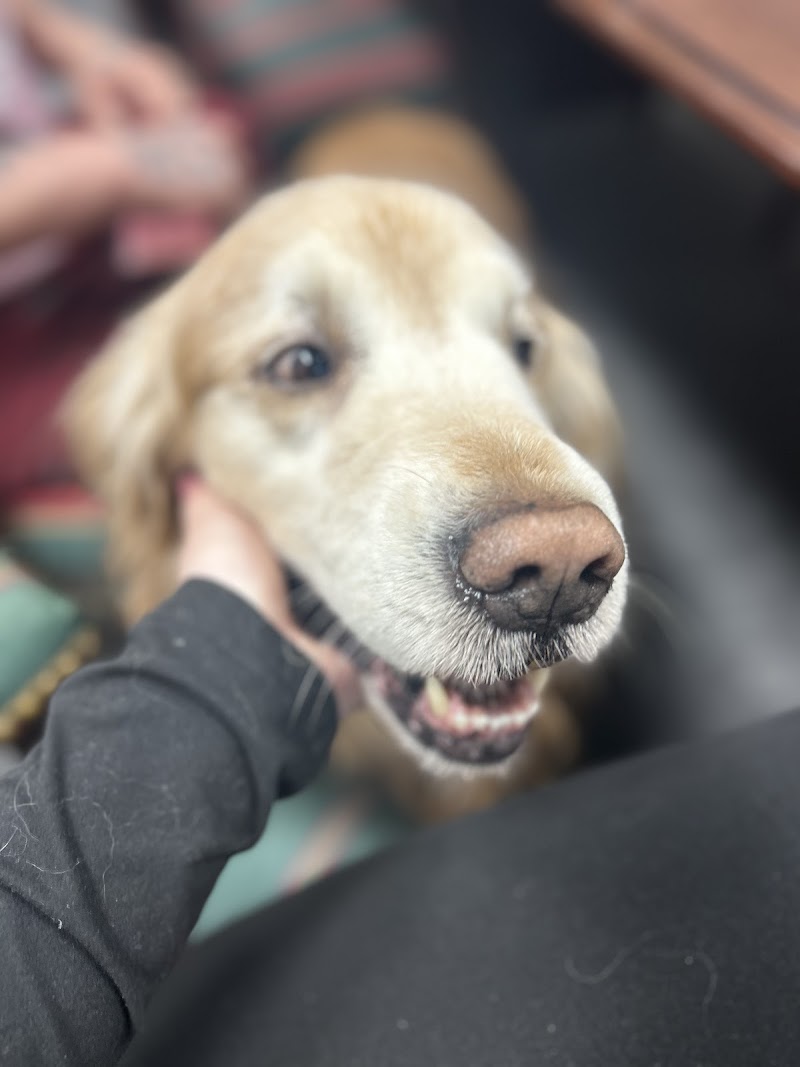 Anastopoulo Law Firm