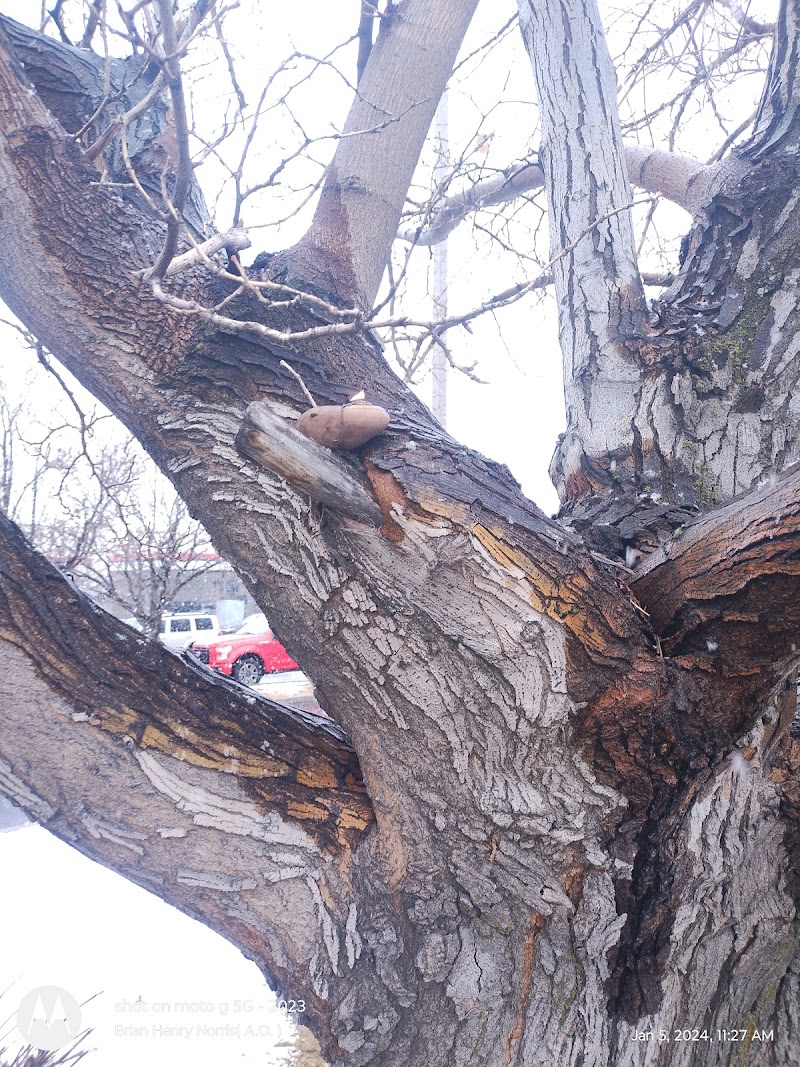 Intermountain Legal, P.C.